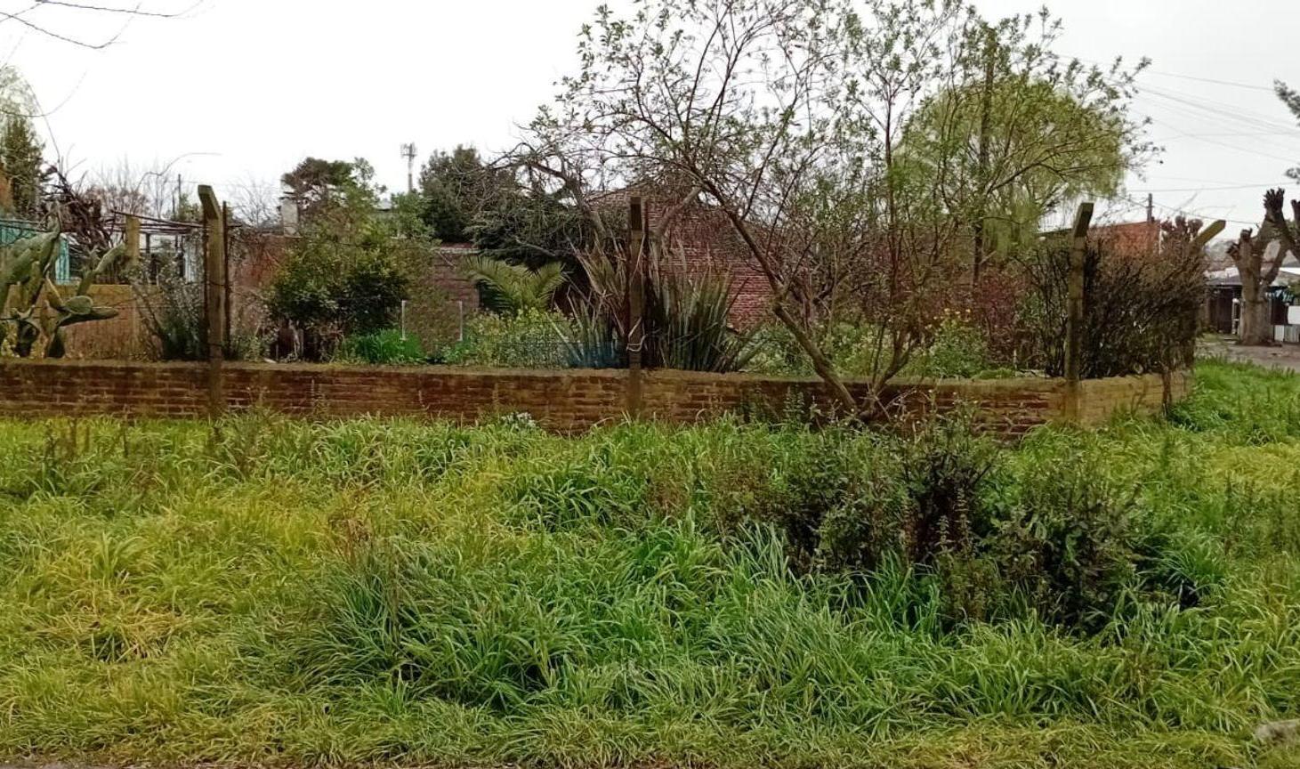 Foto de VENTA LOTE ESQUINA B° LIBERTAD 334m2, imagen 5