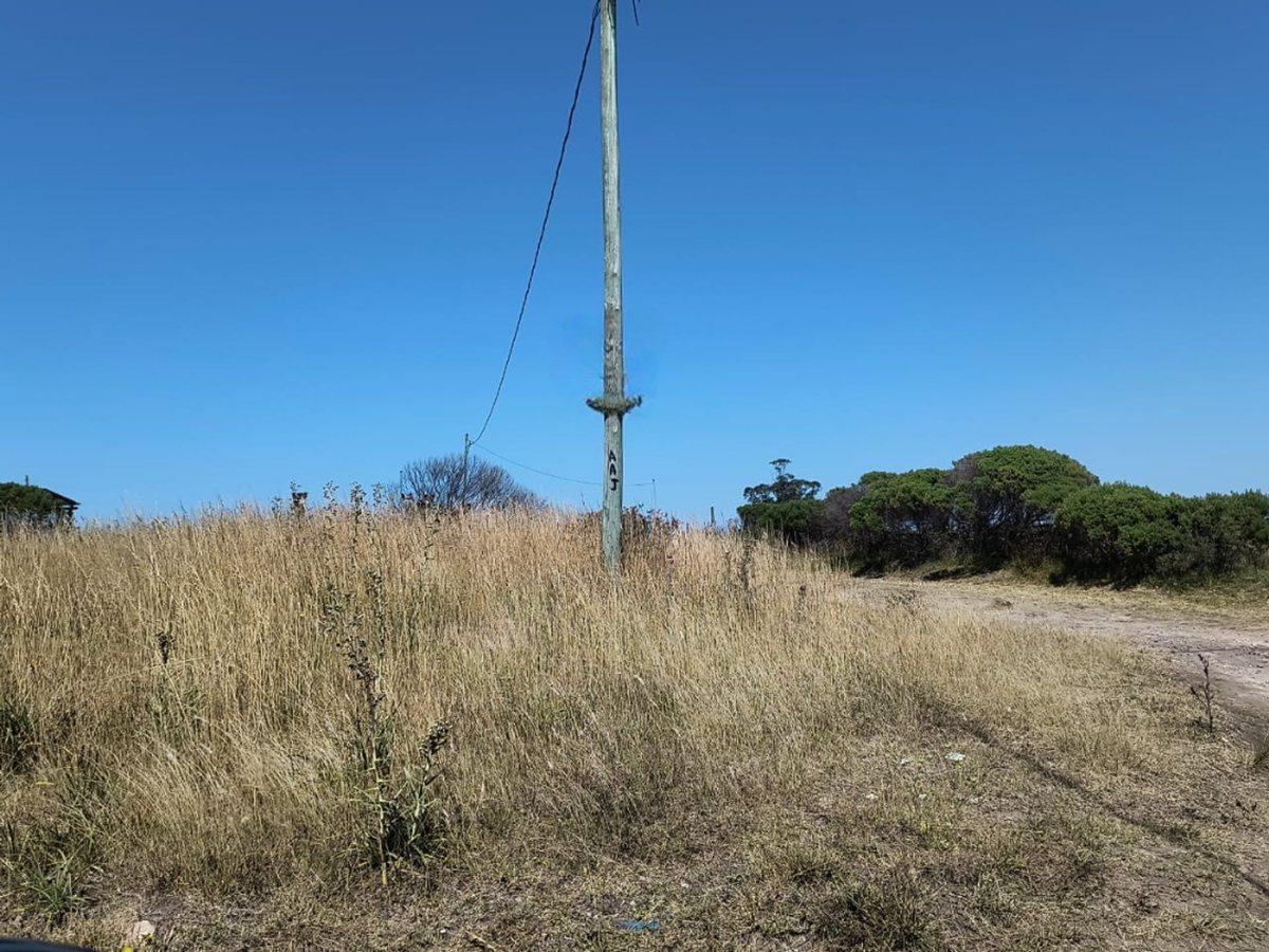 Foto de VENTA DE DOS LOTES EN SAN EDUARDO DE CHAPADMALAL, imagen 4