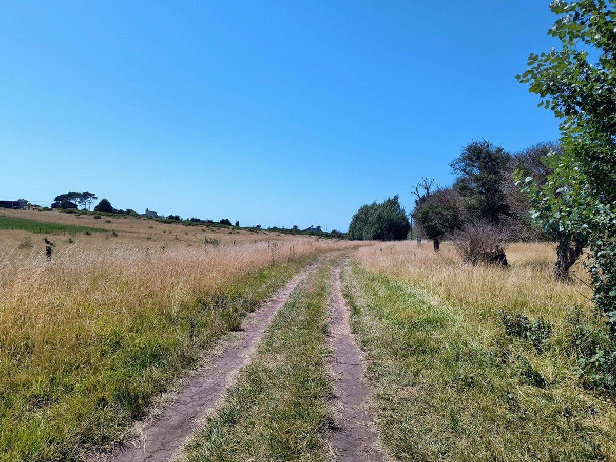 Foto de VENTA DE DOS LOTES EN SAN EDUARDO DE CHAPADMALAL, imagen 5