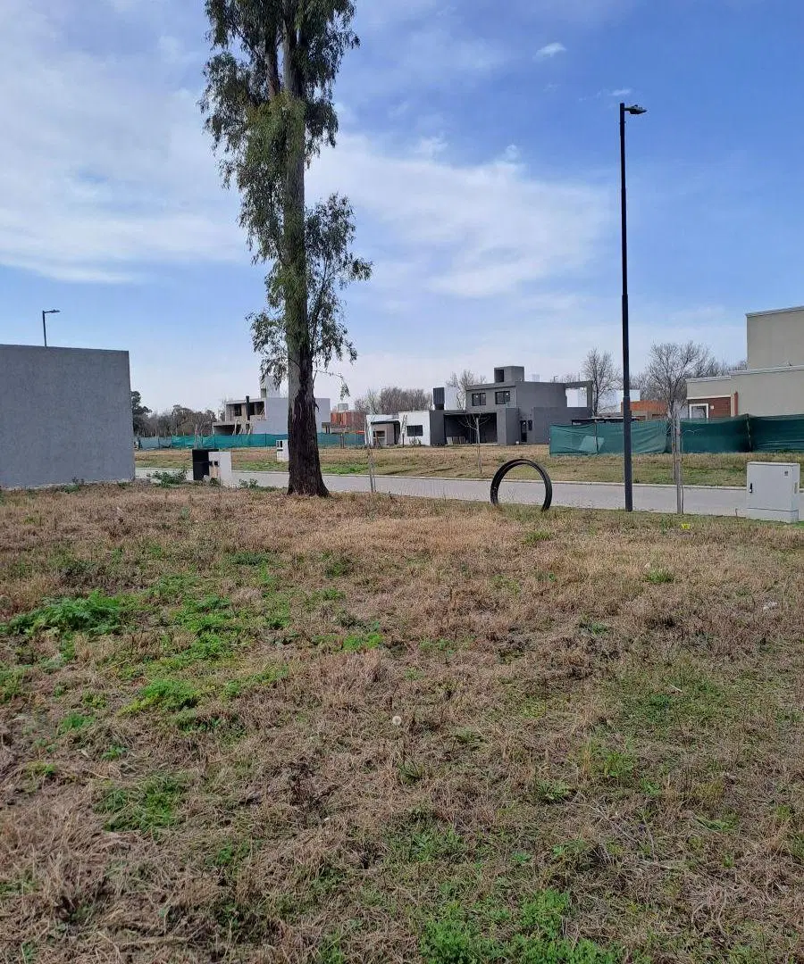 Nuevo Malagueño 270m2 4