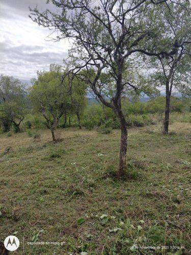 Terreno en Venta Santa Rosa, Calamuchita, Cordoba 4