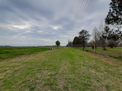 Lote en Venta en Cañuelas, Sobre Ruta 205 Destino Comercial 2