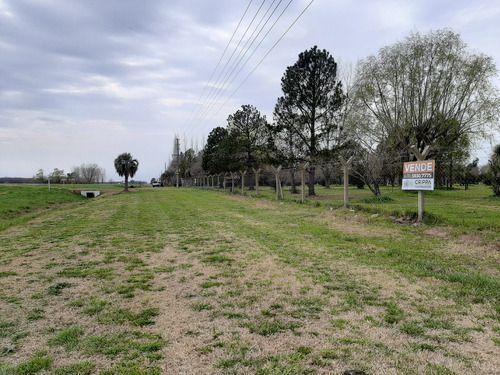 Lote en Venta en Cañuelas, Sobre Ruta 205 Destino Comercial 1