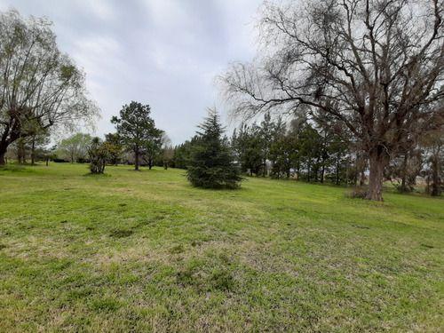 Lote en Venta en Cañuelas, Sobre Ruta 205 Destino Comercial 3