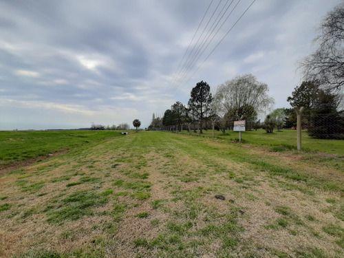 Lote en Venta en Cañuelas, Sobre Ruta 205 Destino Comercial 3