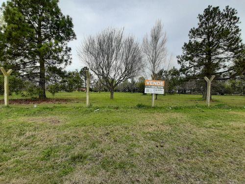 Lote en Venta en Cañuelas, Sobre Ruta 205 Destino Comercial 4