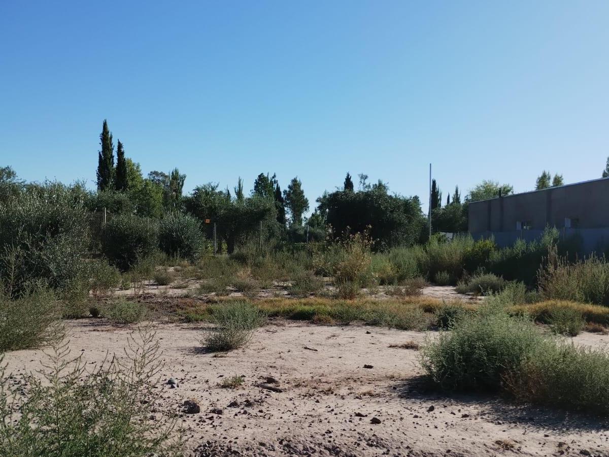 Ayres de Terrada, Lote en Venta 4