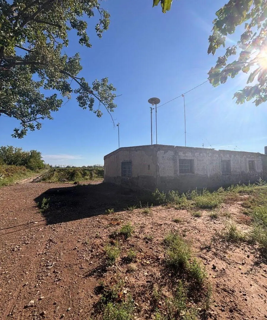 VENTA FINCA Nueva California calle Talavera San Martín Mendoza 3