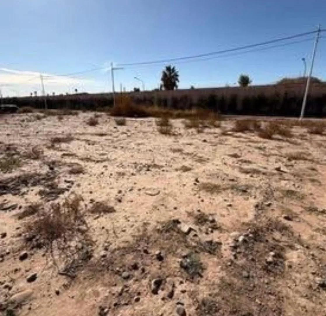 Lote Barrio privado Vista Oliva Maipú Mendoza 4