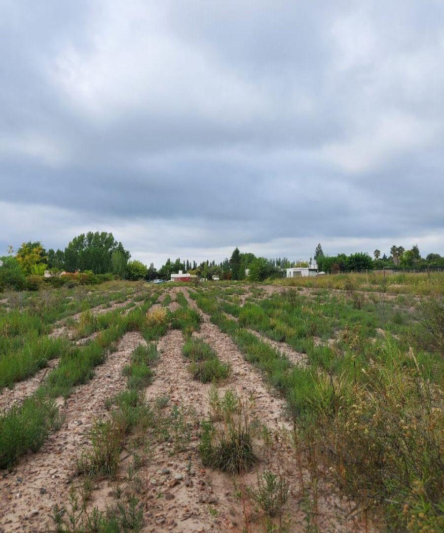 Foto de Terreno de 13.874 m² con Potencial de Barrio Privado | Vistalba, Luján, imagen 1