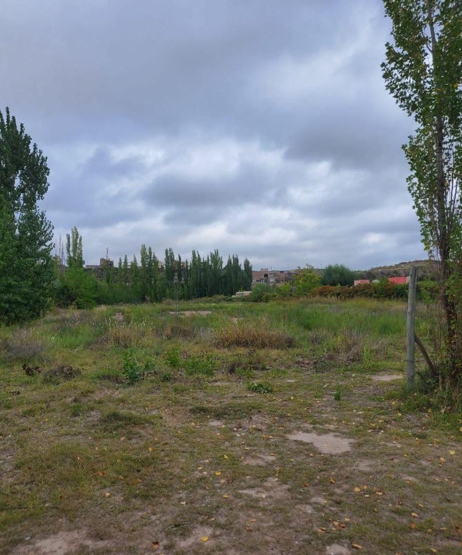 Foto de Terreno de 13.874 m² con Potencial de Barrio Privado | Vistalba, Luján, imagen 5