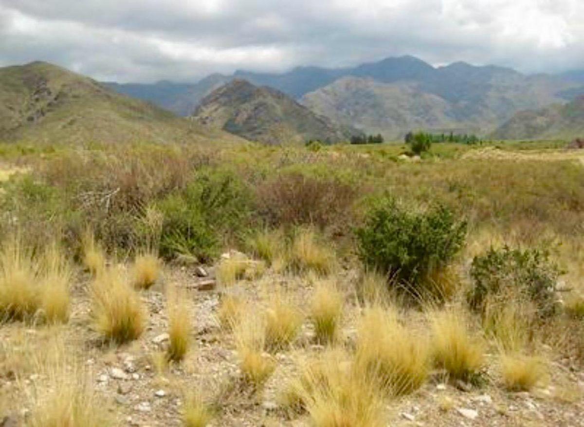 Foto de VENTA lote 1,6 ha Los Chacayes, Tunuyán ruta 94, imagen 2