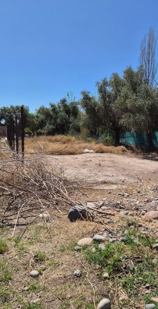 Foto de VENTA lote barrio privado Tuyutí Guaymallén, imagen 2