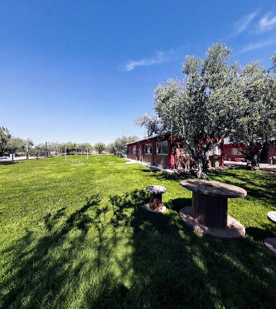 Foto de VENTA Finca c/olivos/ Salón de Eventos General Gutiérrez Dorrego, imagen 4