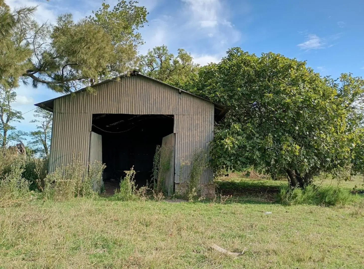 Venta Campo Mixto en Comandante Giribone | Chascomús | 302 Has 3