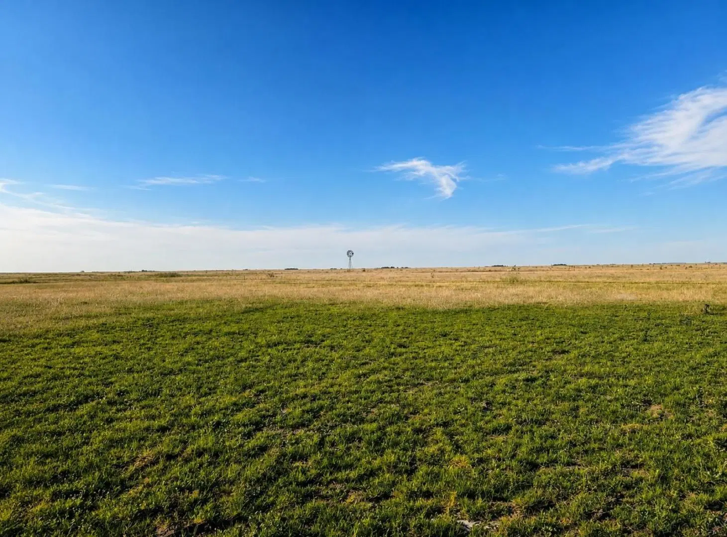 Campo en Ranchos 1