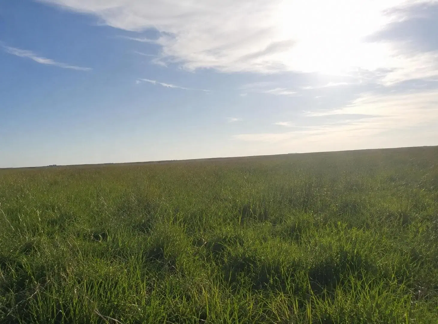 Campo en Ranchos 3