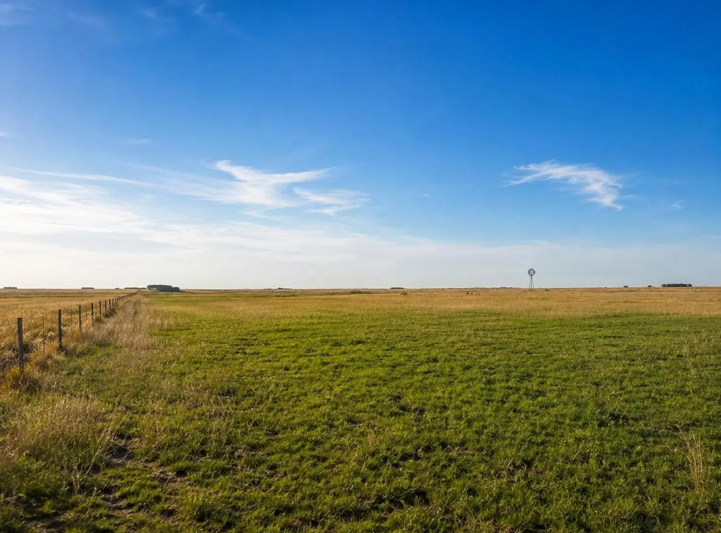 Campo en Ranchos 4