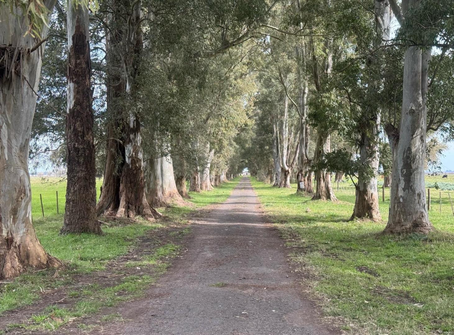 Foto de Campo - Coronel Brandsen, imagen 5