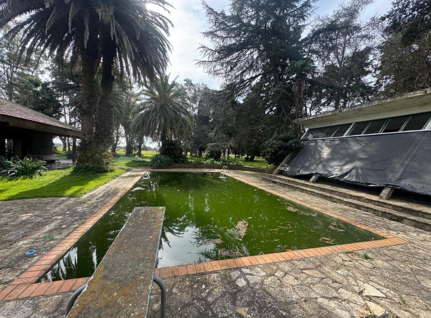 Foto de Campo - Coronel Brandsen, imagen 4