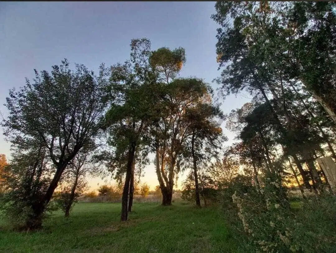 VENTA LOTE 730 MT EN PARQUE SAKURA EXALTACION DE LA CRUZ 5