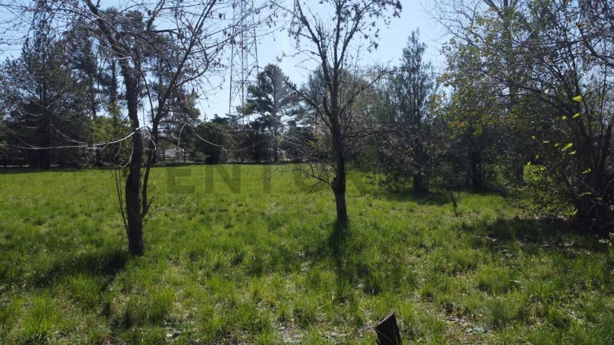 Foto de Venta Terreno 10000 metros, imagen 3