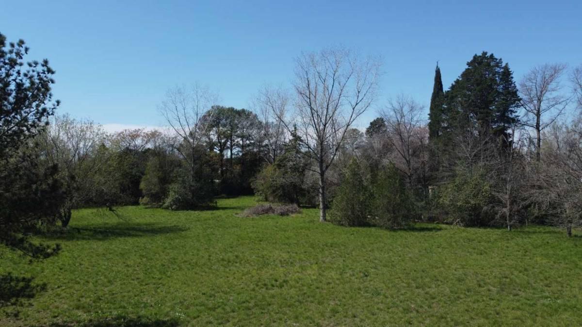 Foto de Venta Terreno 10000 metros, imagen 1
