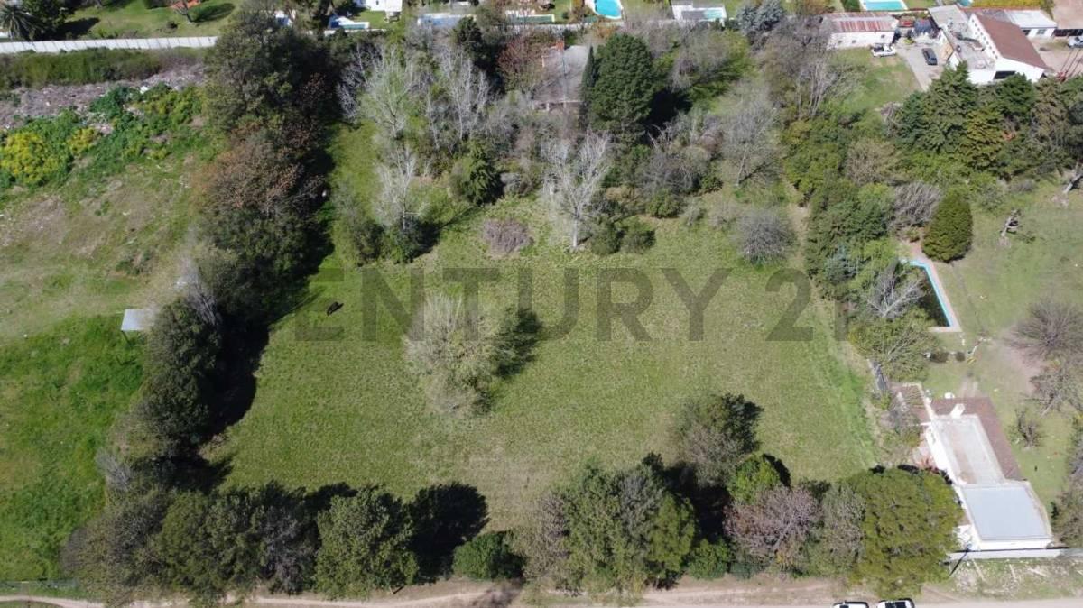 Foto de Venta Terreno 10000 metros, imagen 2