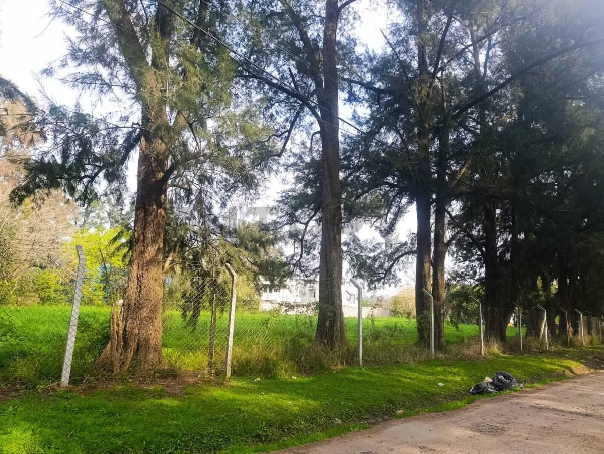Foto de LOTE COMERCIAL PREMIUM 871M² | KM 50 RUTA 8 - PILAR | TODOS LOS, imagen 5