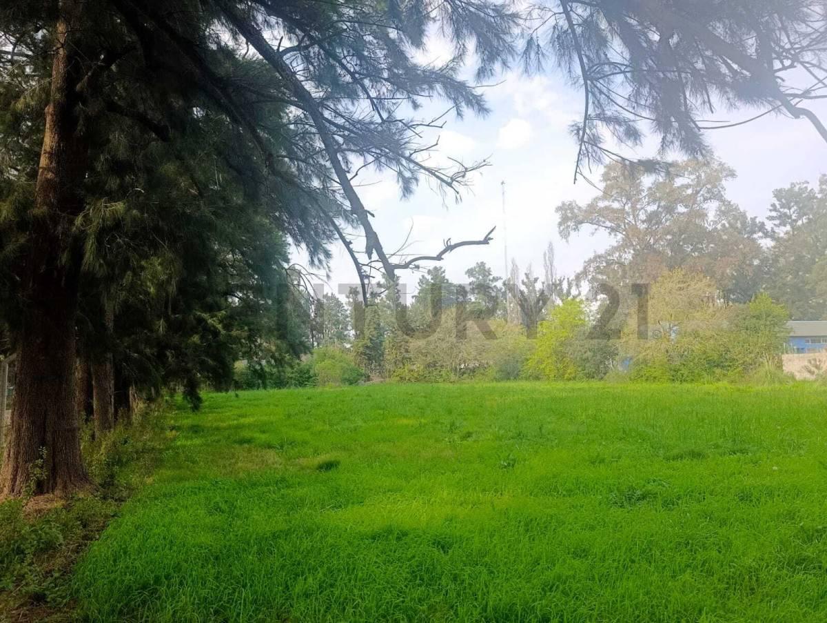 Foto de LOTE COMERCIAL PREMIUM 871M² | KM 50 RUTA 8 - PILAR | TODOS LOS, imagen 1