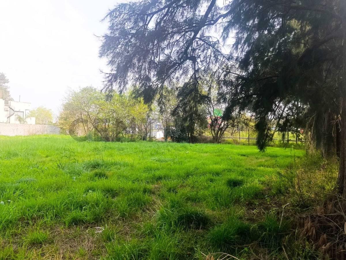 Foto de LOTE COMERCIAL PREMIUM 871M² | KM 50 RUTA 8 - PILAR | TODOS LOS, imagen 3