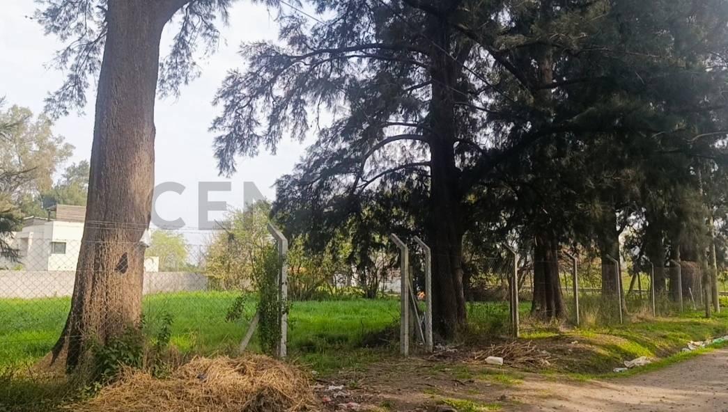 Foto de VENTA LOTE COMERCIAL PREMIUM 869 M² | KM 50 RUTA 8 - PILAR | TODOS LOS, imagen 2