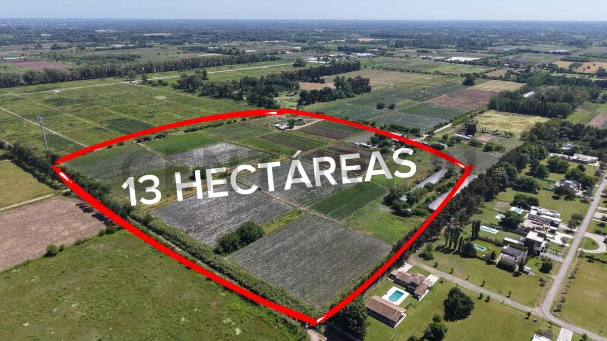 Foto de VENTA CAMPO 13 HECTAREAS, OPORTUNIDAD DE INVERSION, imagen 1