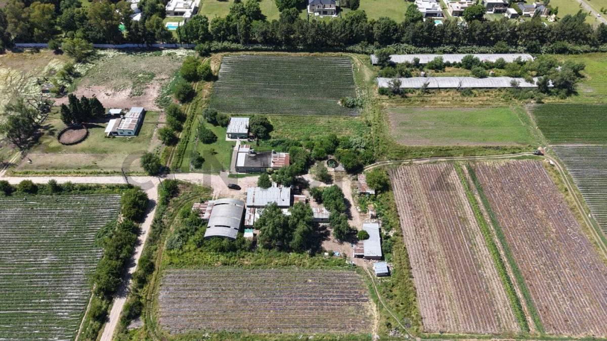 Foto de VENTA CAMPO 13 HECTAREAS, OPORTUNIDAD DE INVERSION, imagen 2
