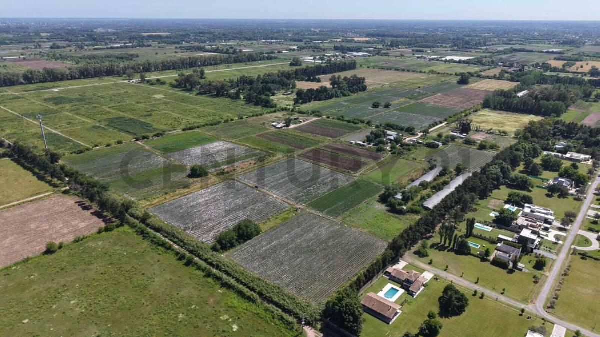 Foto de VENTA CAMPO 13 HECTAREAS, OPORTUNIDAD DE INVERSION, imagen 5