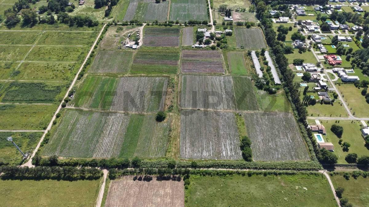 Foto de VENTA CAMPO 13 HECTAREAS, OPORTUNIDAD DE INVERSION, imagen 4
