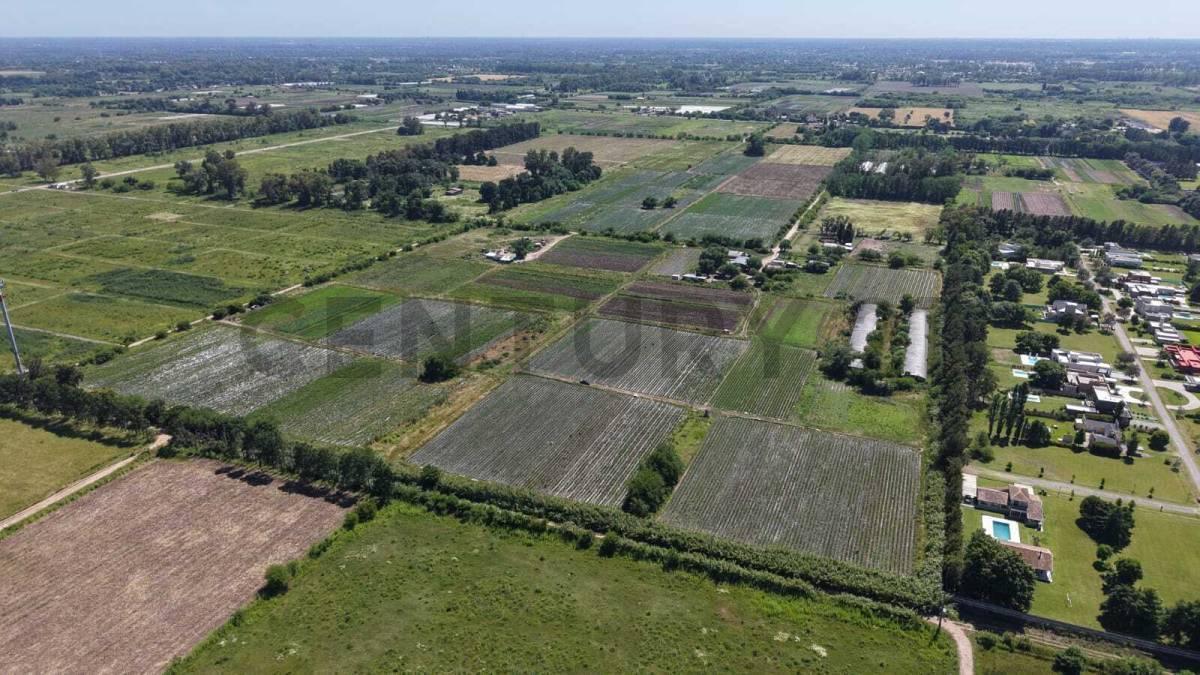 Foto de VENTA CAMPO 13 HECTAREAS, OPORTUNIDAD DE INVERSION, imagen 3