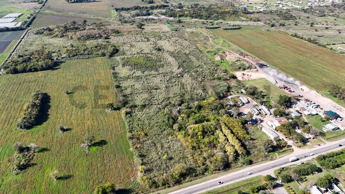 Foto de VENTA 12 HECTAREAS EN RUTA 25 IDEAL LOTEO, imagen 4