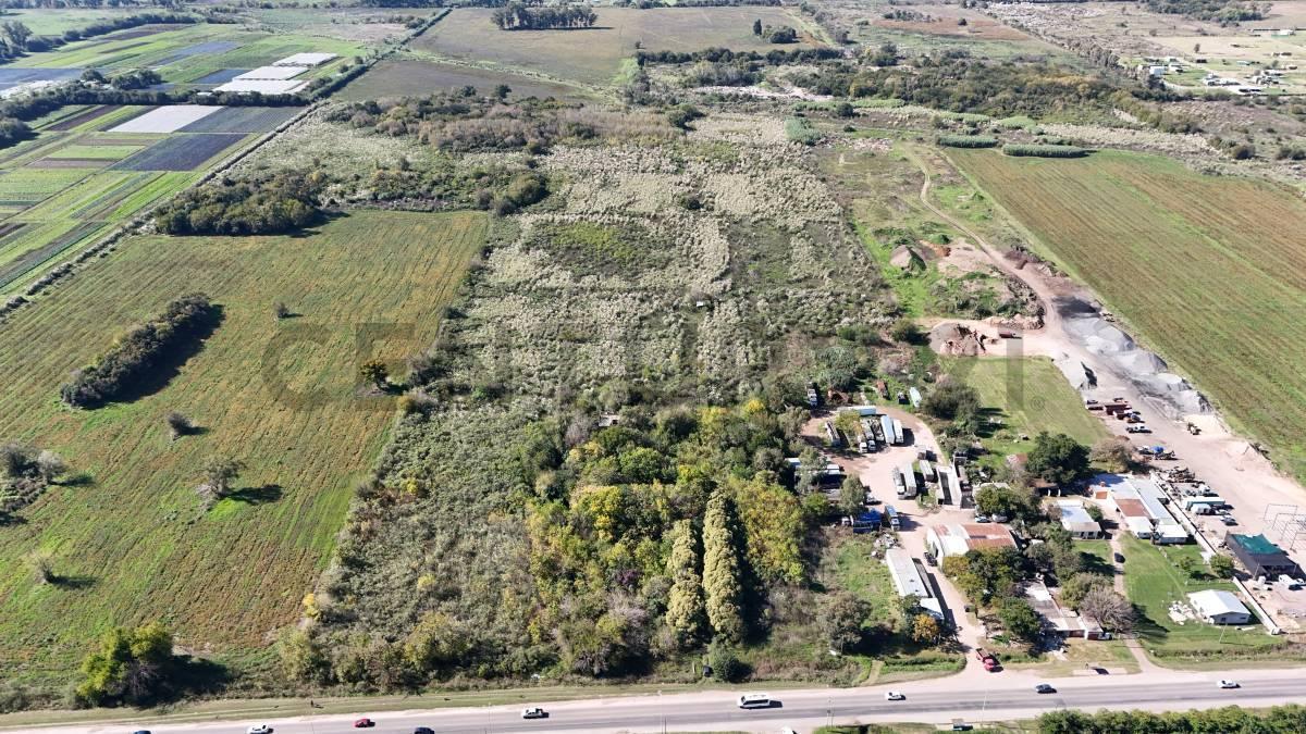 Foto de VENTA 12 HECTAREAS EN RUTA 25 IDEAL LOTEO, imagen 5