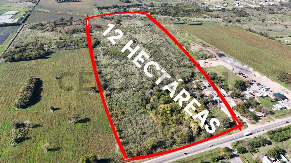 Foto de VENTA 12 HECTAREAS EN RUTA 25 IDEAL LOTEO, imagen 1