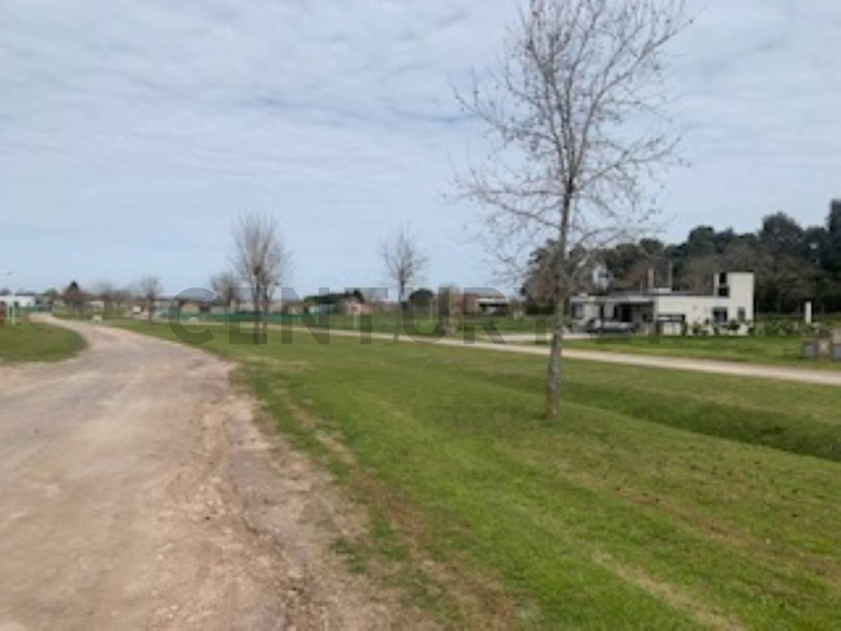 Foto de Terreno con excelente ubicación en Barrio Las Calandrias. (Ruta 4, imagen 1