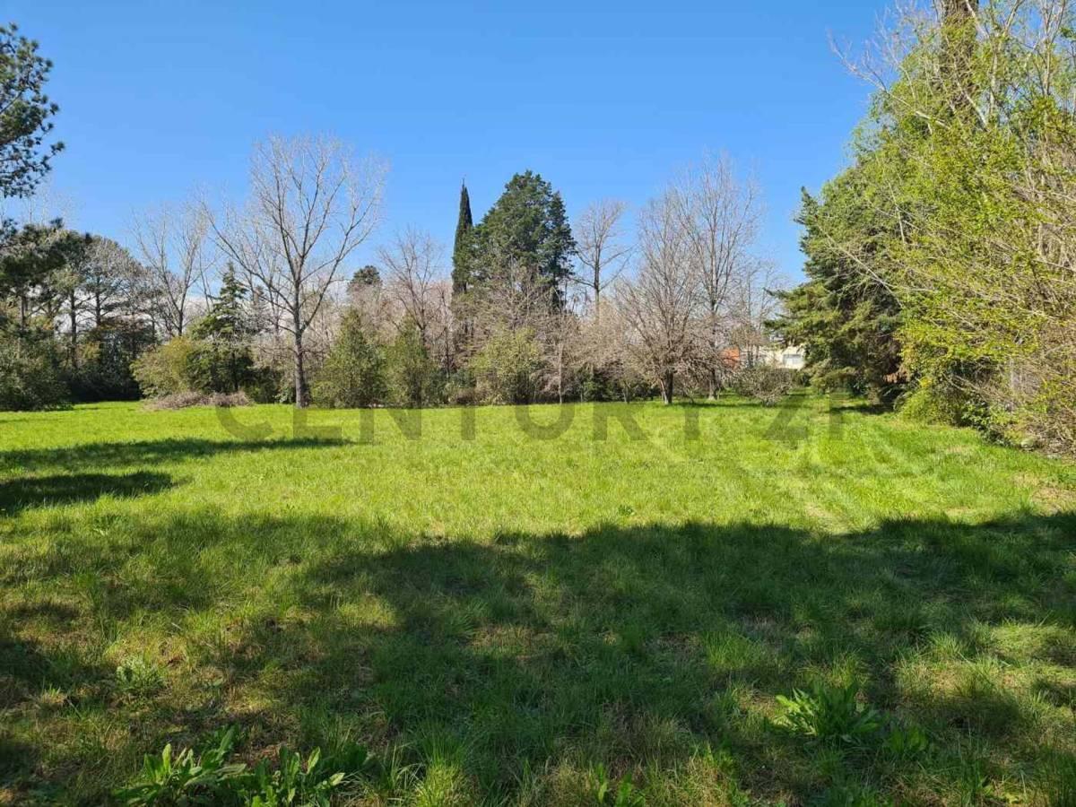 Foto de Venta Terreno 10000 metros, imagen 1
