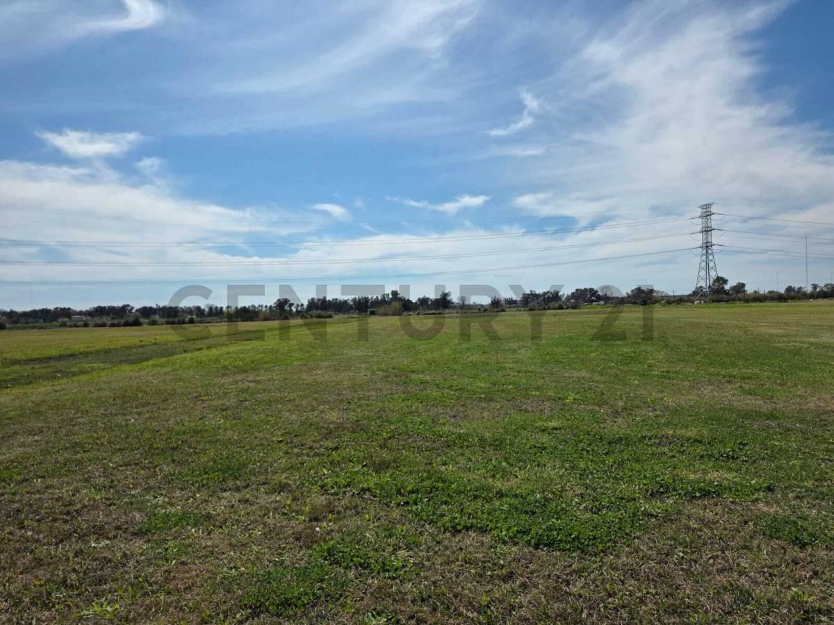 Foto de LOTE EN VENTA DE 600 M² EN SANTA ISABEL ETAPA 3A, MASCHWITZ, imagen 4
