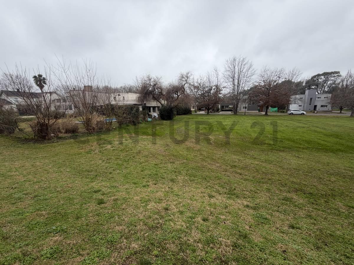 Foto de VENTA LOTE INTERNO SAUSALITO, imagen 4