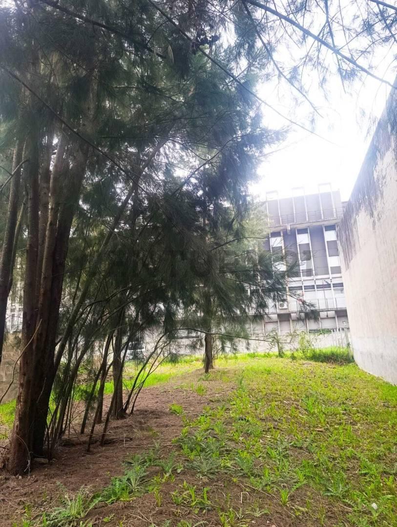 Foto de LOTE COMERCIAL PREMIUM 869 M² | KM 50 RUTA 8 - PILAR | TODOS LOS, imagen 5
