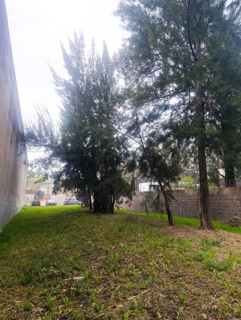 Foto de LOTE COMERCIAL PREMIUM 871M² | KM 50 RUTA 8 - PILAR | TODOS LOS, imagen 3