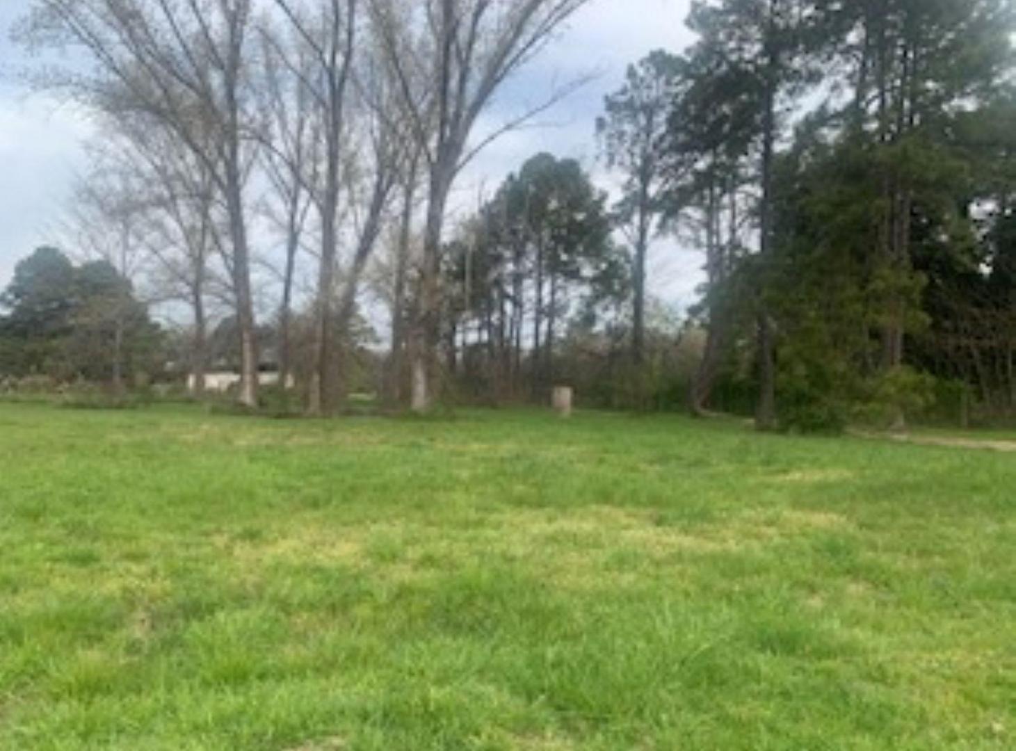 Foto de Terreno en venta CLUB DE CAMPO AMARILYS, imagen 3