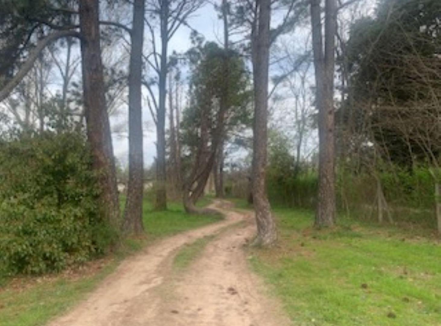 Foto de Terreno en venta CLUB DE CAMPO AMARILYS, imagen 1