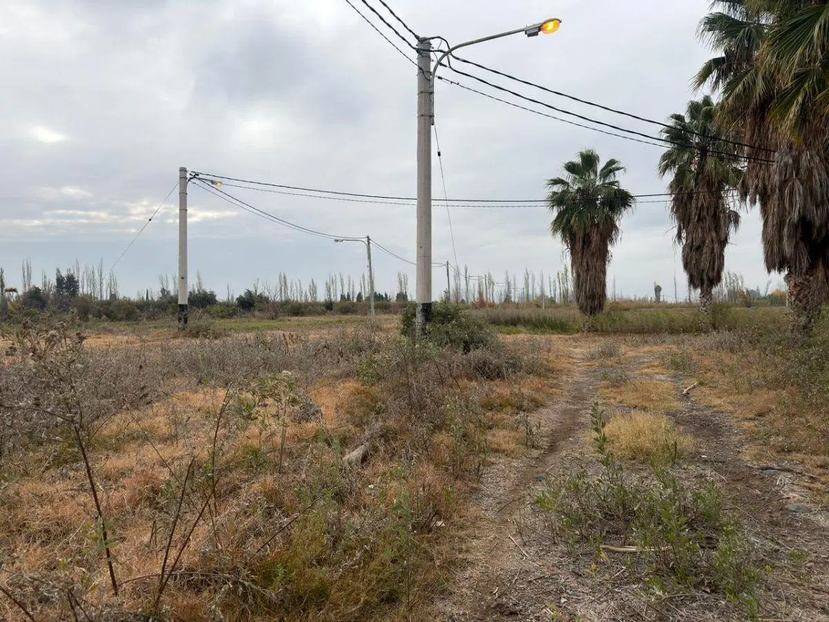 Lotes en Ruta 20, Corralitos - VENTA 3