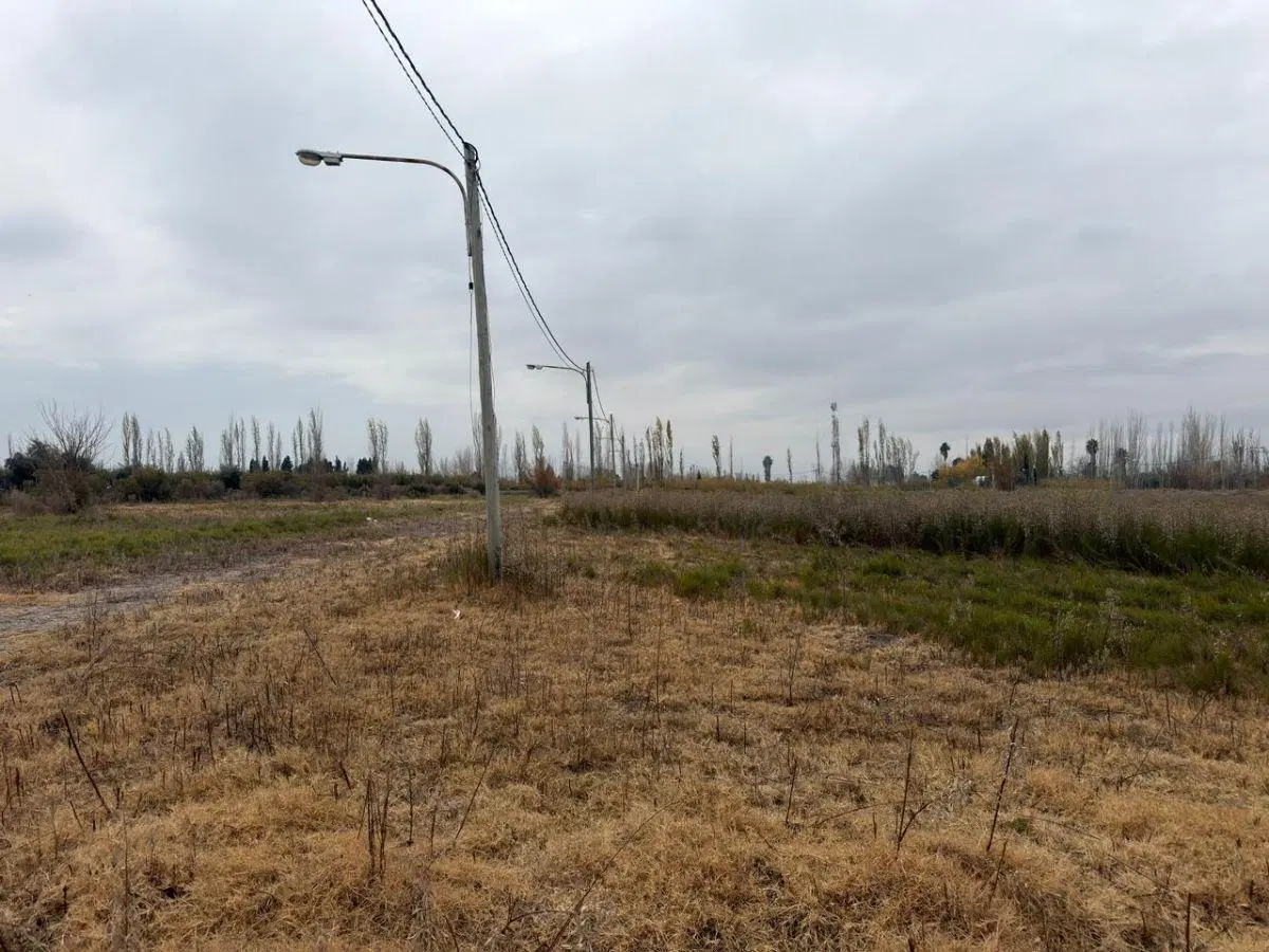 Lotes en Ruta 20, Corralitos - VENTA 5